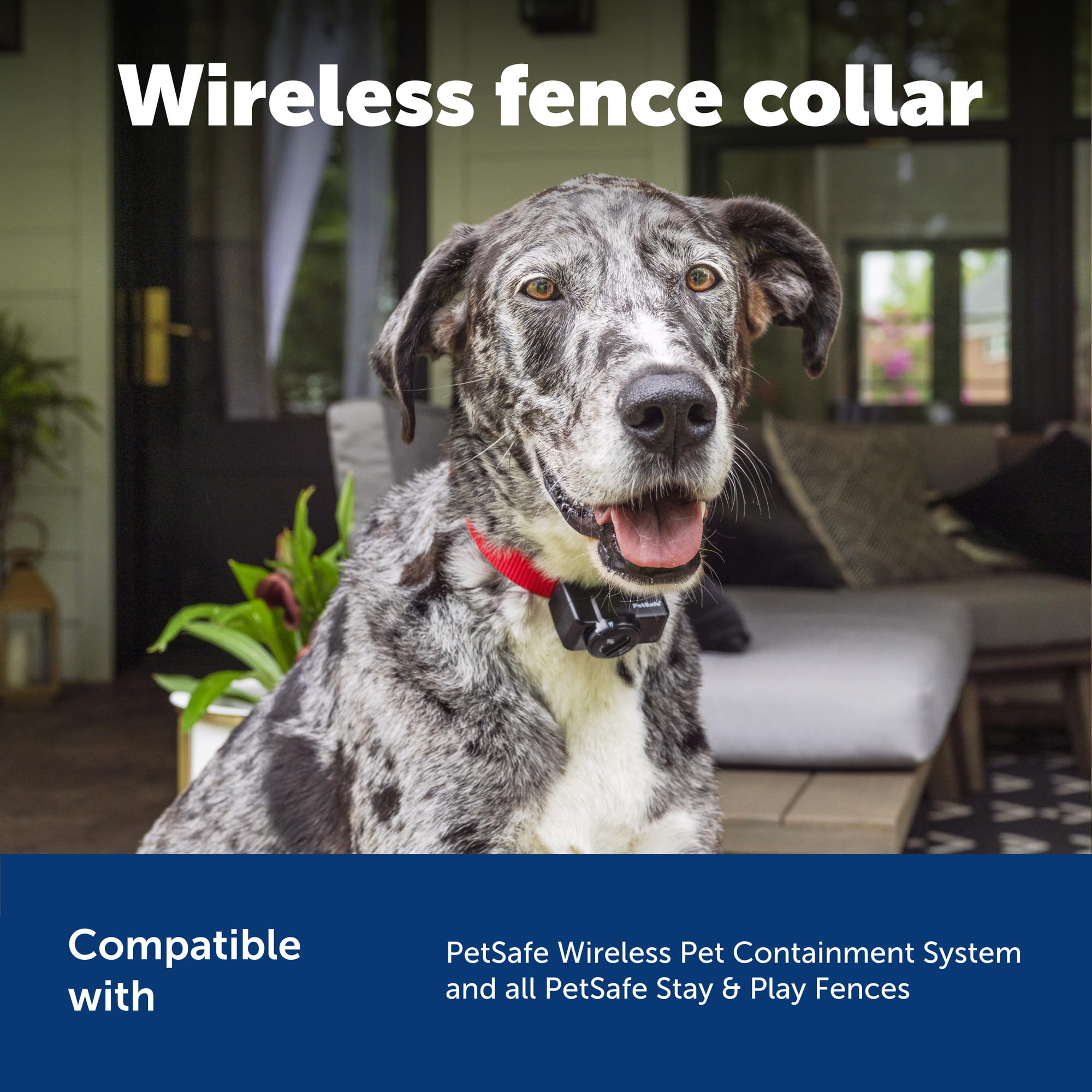 PetSafe collier-tour-de-cou-reglable-6-28pouces, confort et ajustement faciles.