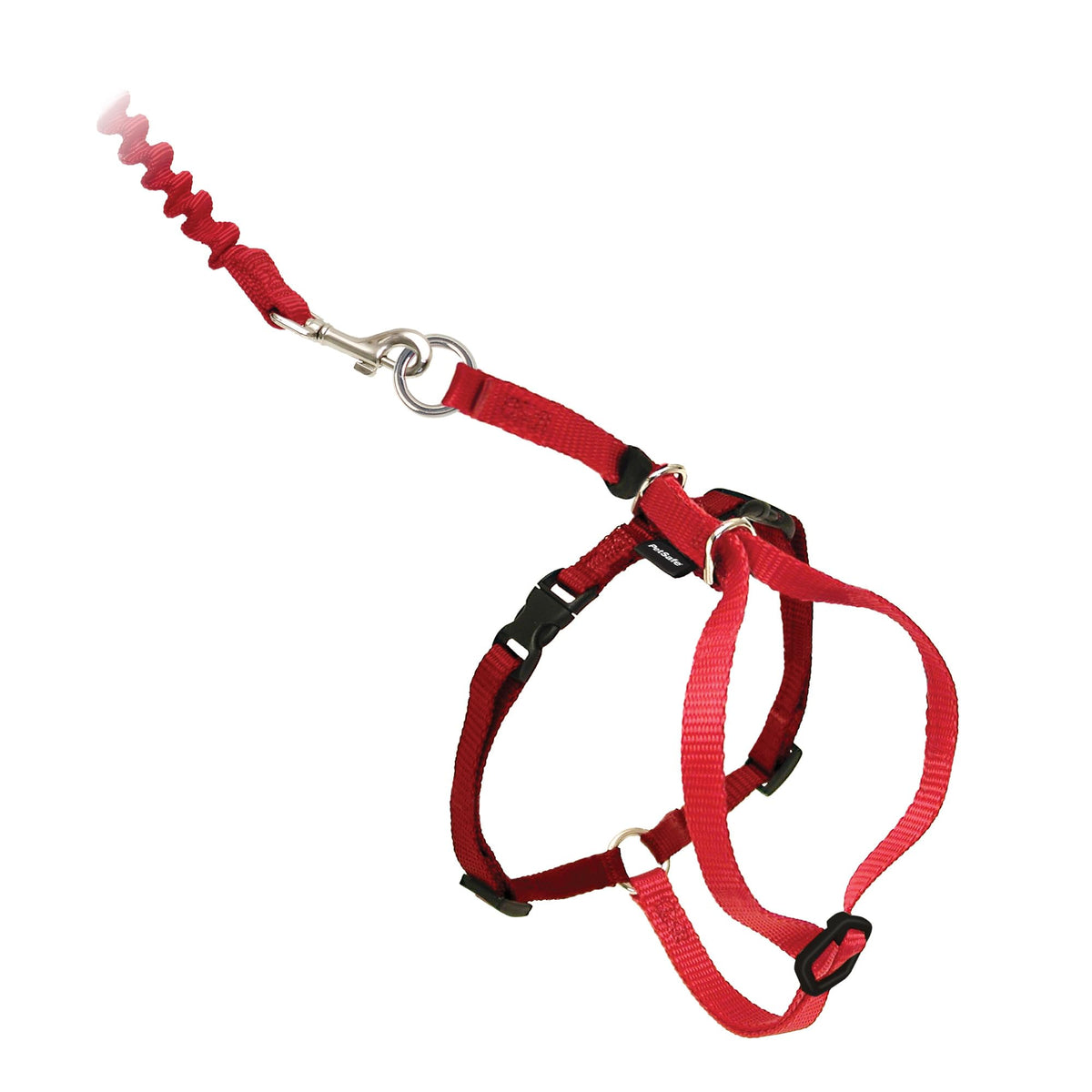 Harnais PetSafe Come With Me Kitty avec laisse elastique rouge en action.