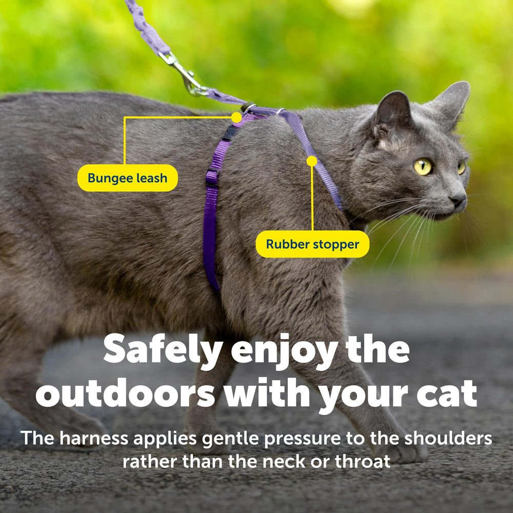 PetSafe Come With Me Kitty: harnais en nylon respirant pour un confort durable lors des sorties.