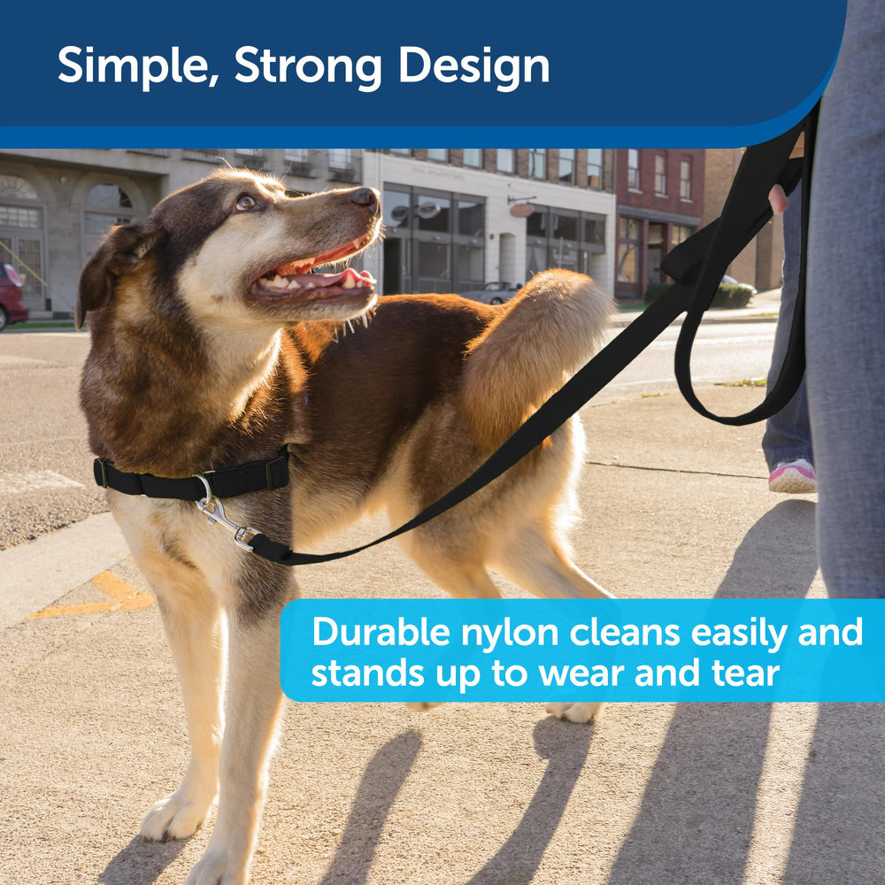 Laisse PetSafe compatible harnais Easy Walk et collier Gentle Leader.