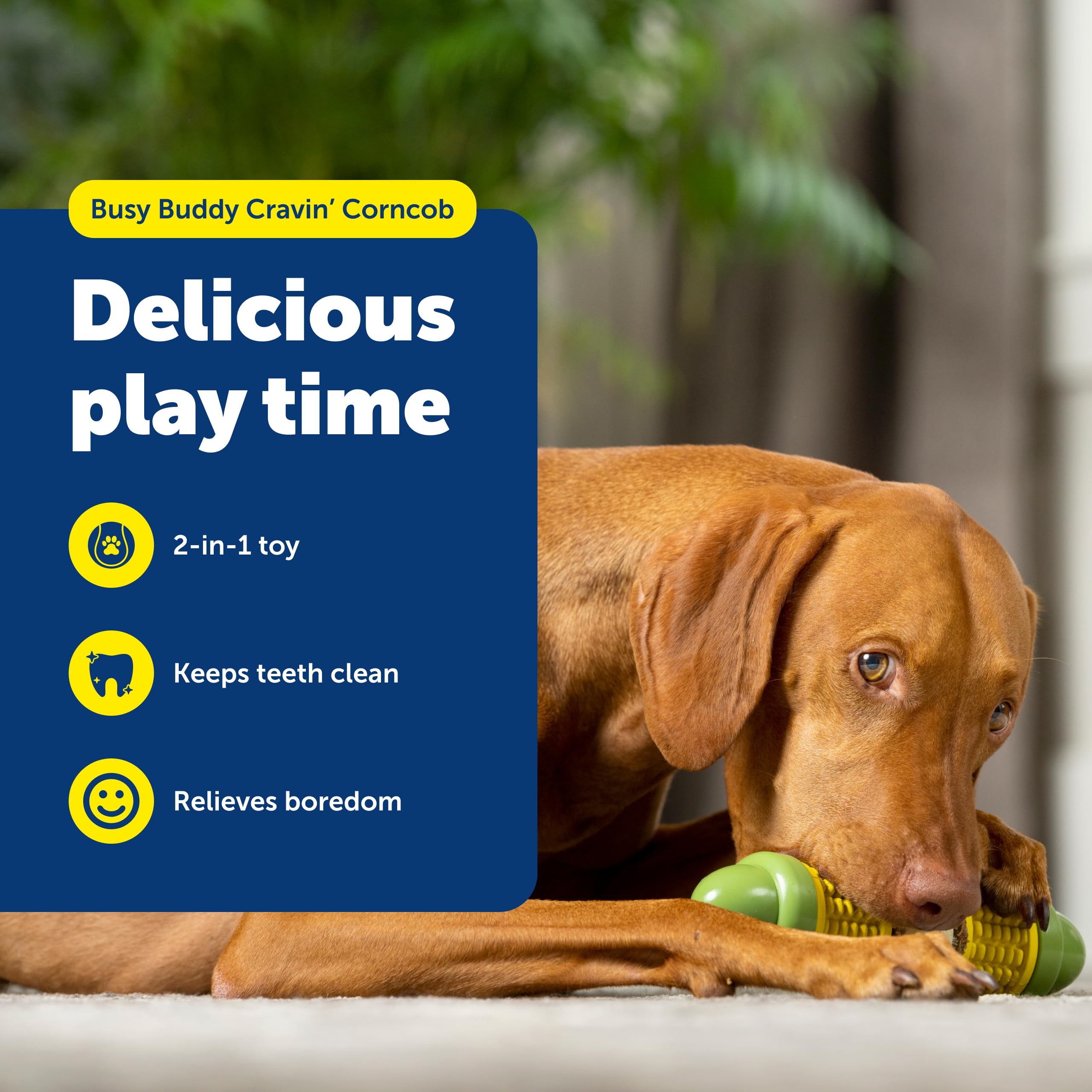 PetSafe Cravin' Corn: anneaux remplissables pour récompenser et ralentir l’alimentation.
