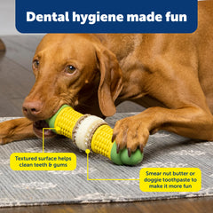 PetSafe Cravin' Corn: parfum beurré pour une expérience sensorielle agréable.