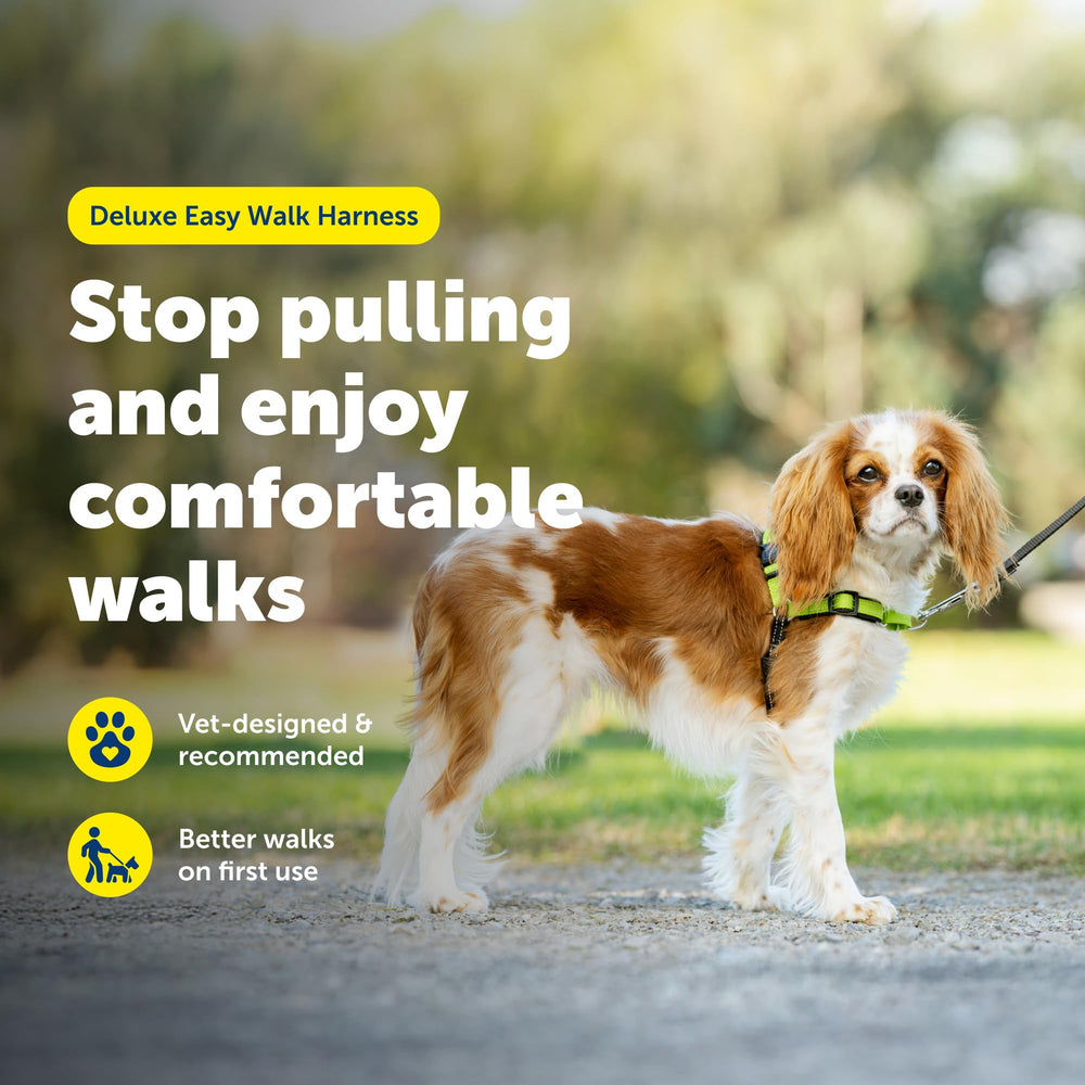 PetSafe Deluxe Easy Walk boucle-martingale : anti-tirage sans pression sur le cou.