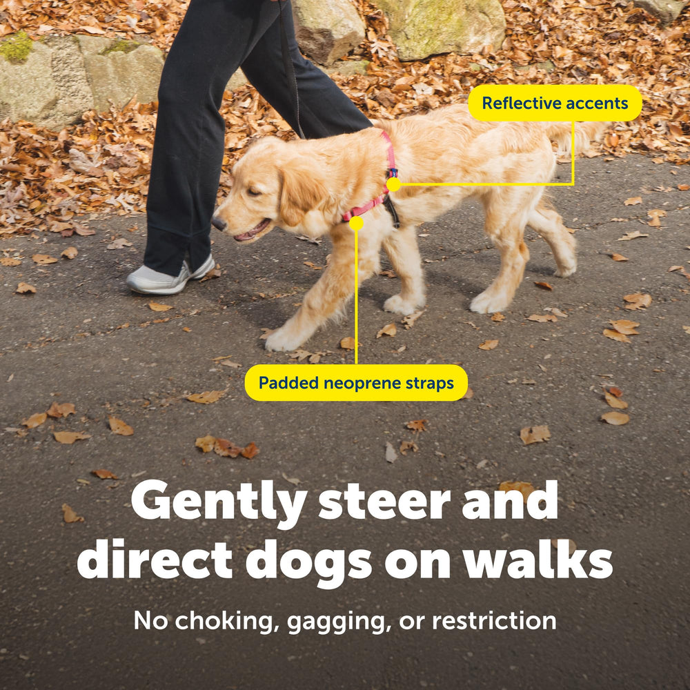 PetSafe Deluxe Easy Walk — bandes de couleur contrastée pour repérage rapide