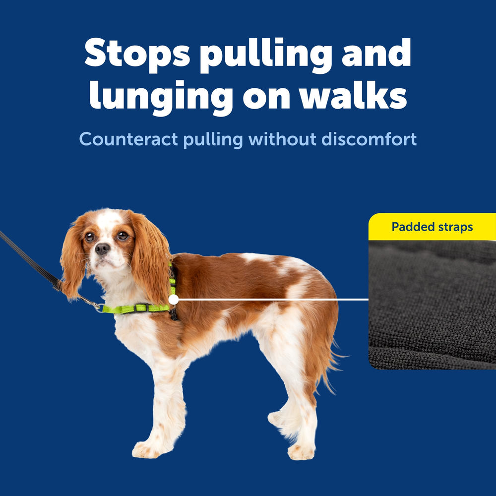 PetSafe Deluxe Easy Walk sangles-respirables : vêtement léger et confortable.