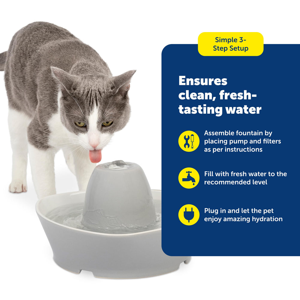 Design moderne et compact de la fontaine PetSafe.