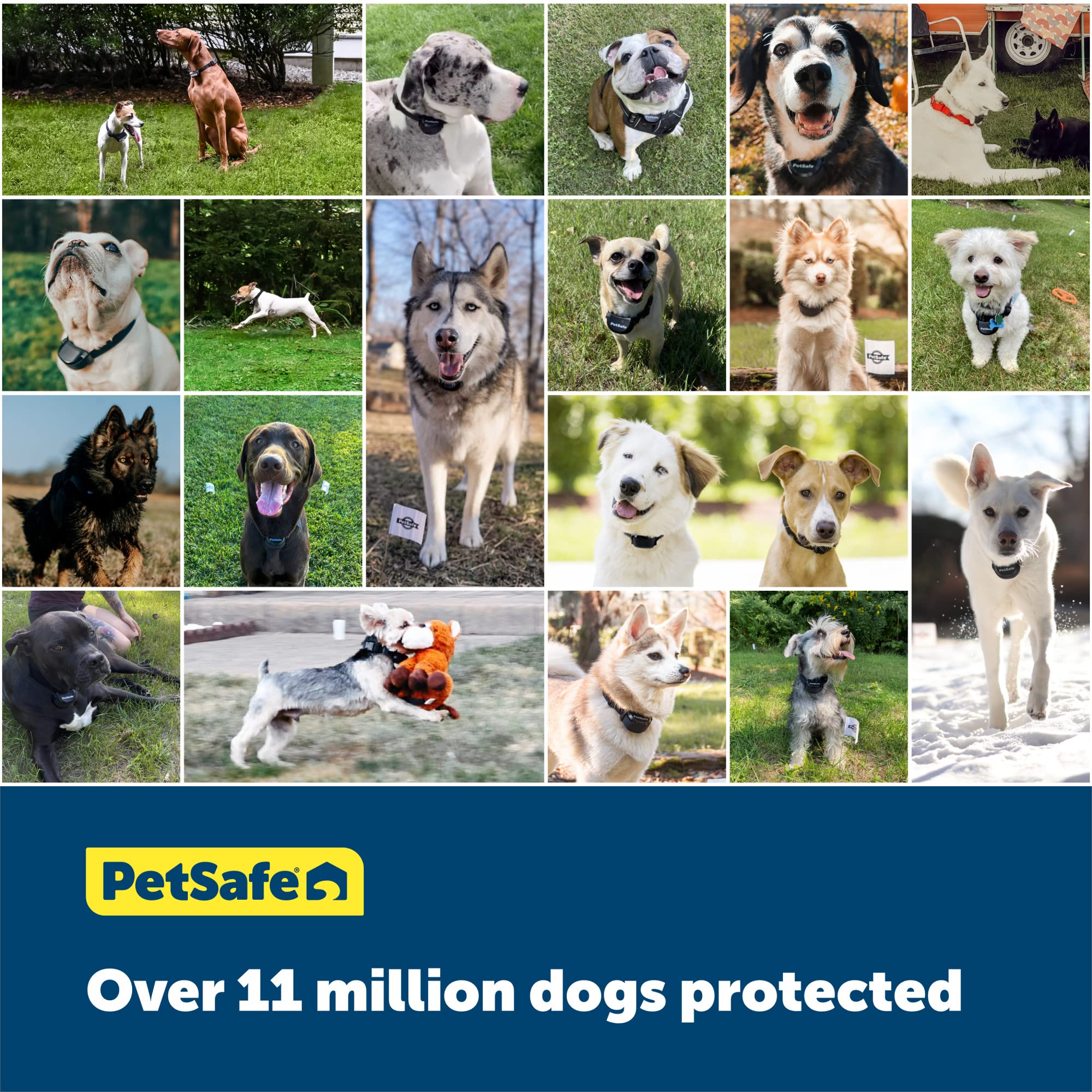 Détails montrant la résistance du fil PetSafe en extérieur.