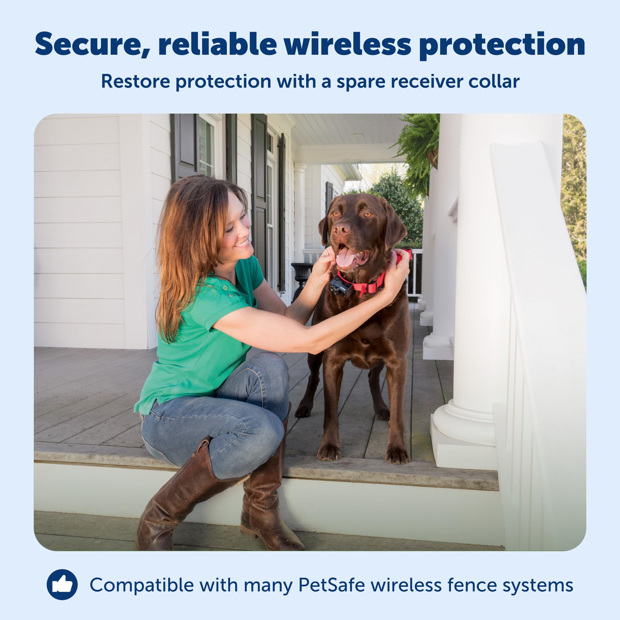 PetSafe drapeaux de limite, repérage rapide de la frontière sécurisée.