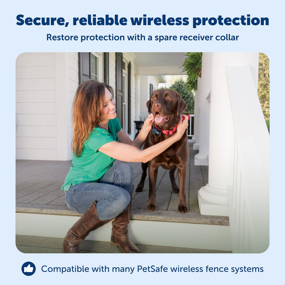 PetSafe drapeaux de limite, repérage rapide de la frontière sécurisée.