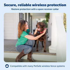PetSafe drapeaux de limite, repérage rapide de la frontière sécurisée.