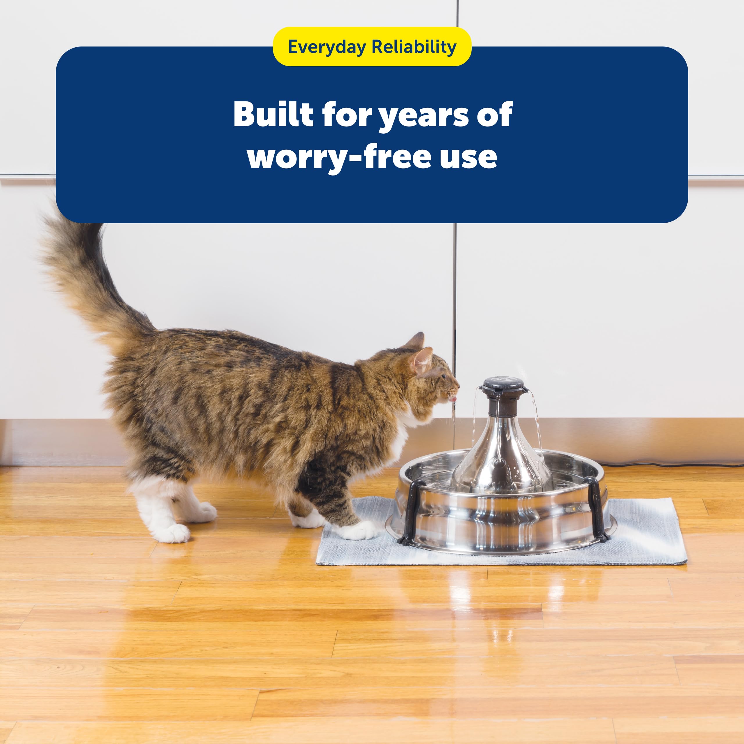 PetSafe Drinkwell 360 filtre-carbone soutien une eau propre et fraîche.