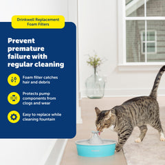 PetSafe Drinkwell: filtre en mousse protège la pompe contre les débris.