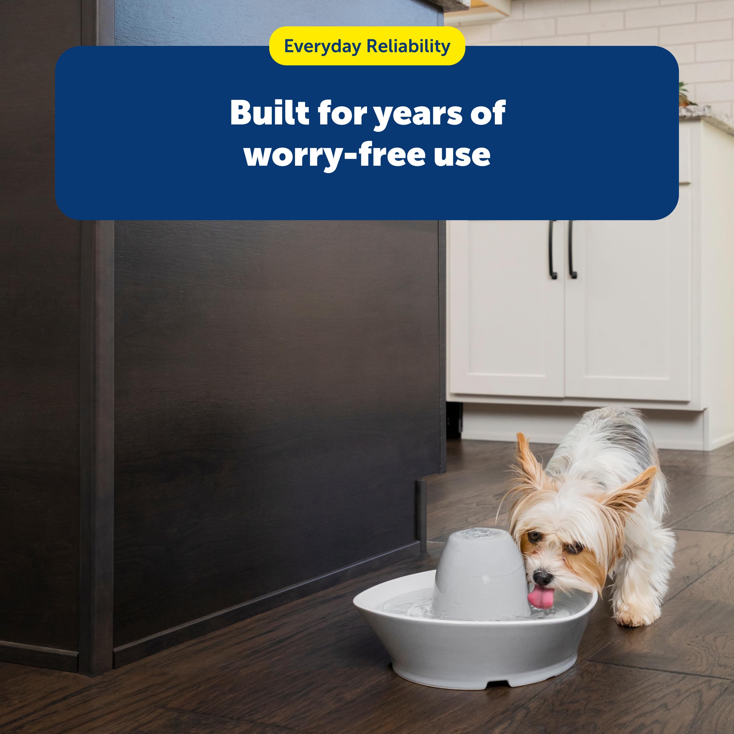 PetSafe Drinkwell: filtre en mousse prolonge la vie de la pompe.