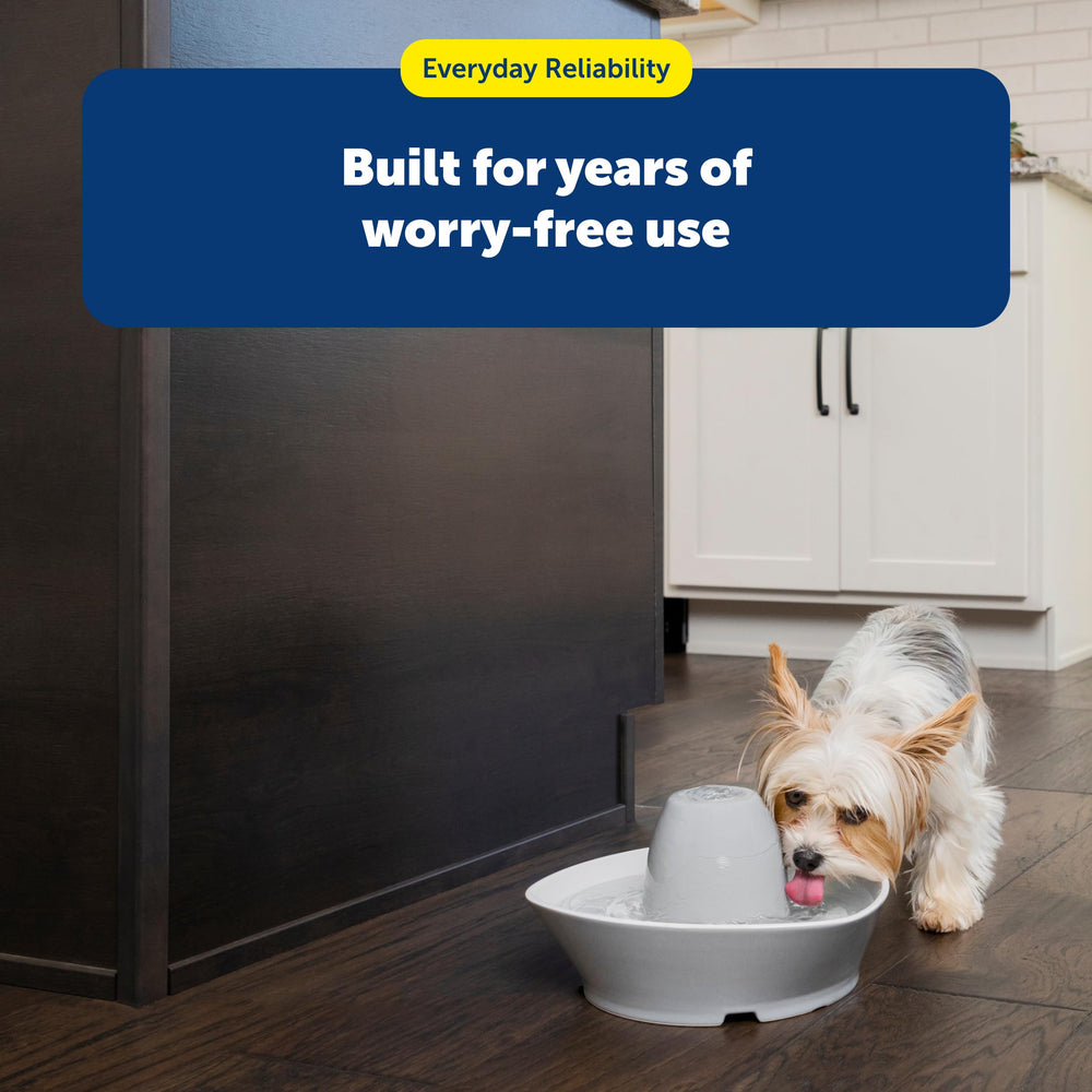 PetSafe Drinkwell: filtre en mousse prolonge la vie de la pompe.
