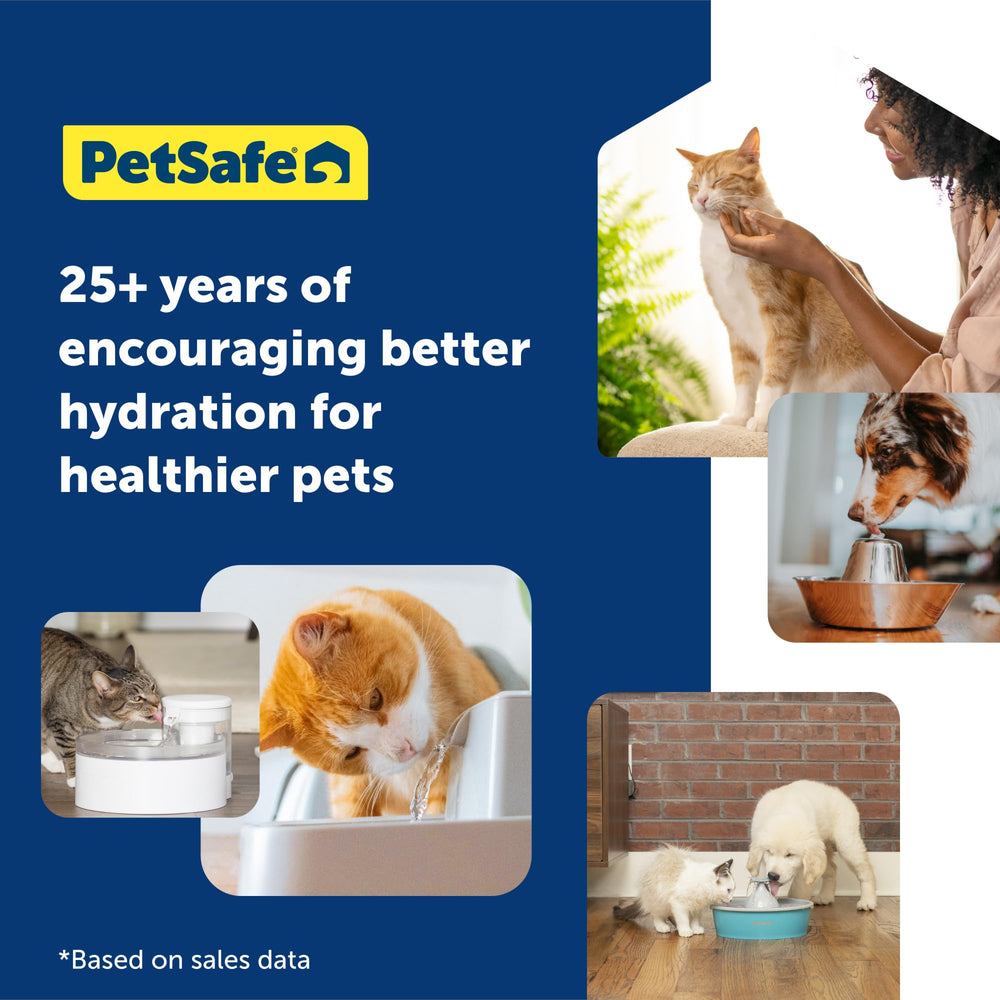 PetSafe Drinkwell hydratation quotidienne adaptée à la maison.