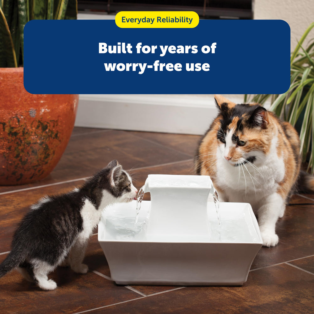 Brosse Pompe Détail PetSafe Drinkwell prévient les dépôts.