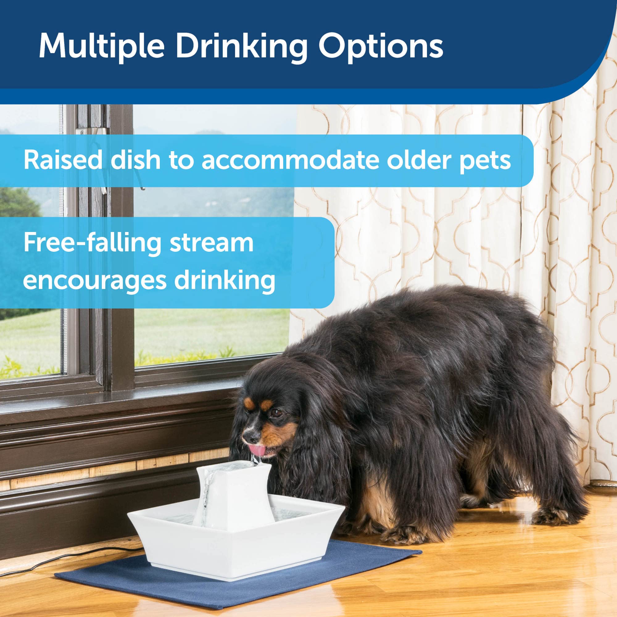 PetSafe Drinkwell Pagoda design minimaliste, élégant et fonctionnel