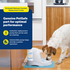 Adaptateur secteur PetSafe Drinkwell Platinum pour une installation rapide.
