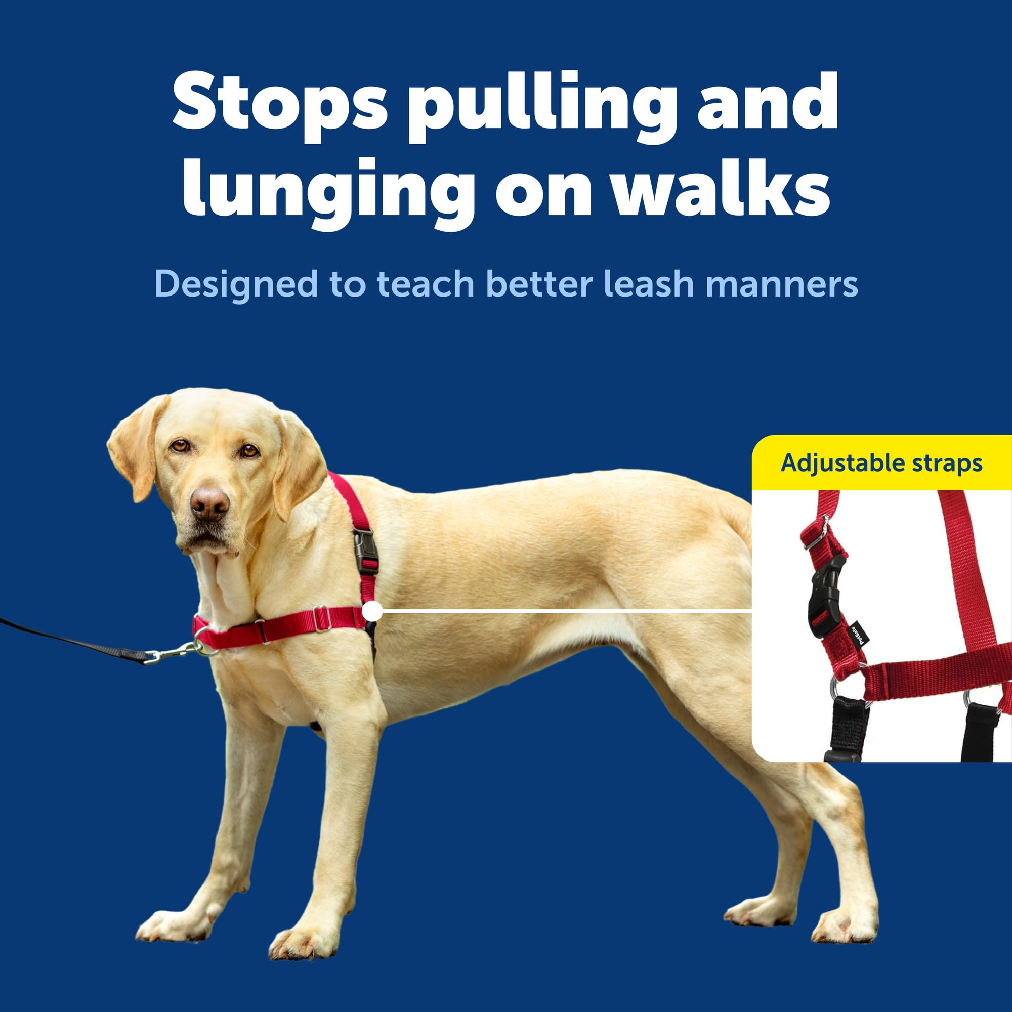 Attache frontale PetSafe Easy Walk facilitant le guidage naturel.