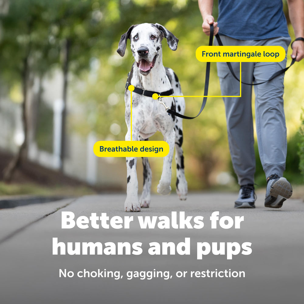 PetSafe Easy Walk attache-devant-poitrine, guidage naturel pendant les promenades.