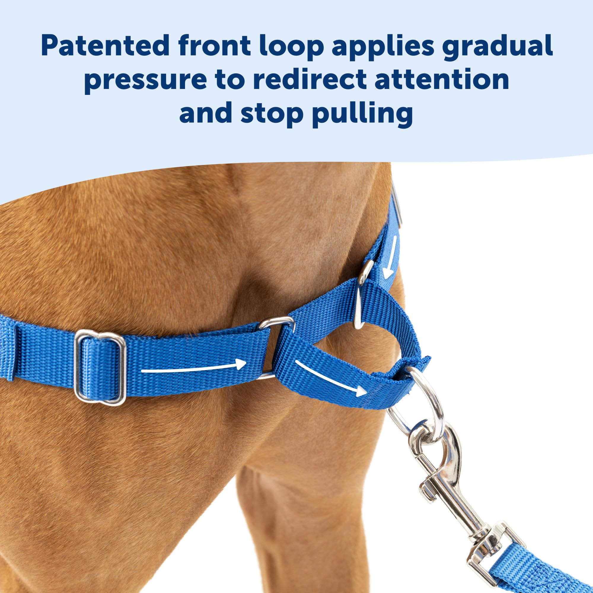 Attache poitrine avant pour diriger naturellement le chien sans tirer brusquement.