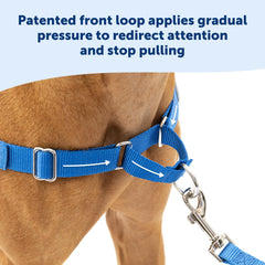 Attache poitrine frontale PetSafe Easy Walk facilitant le guidage sans tirage.