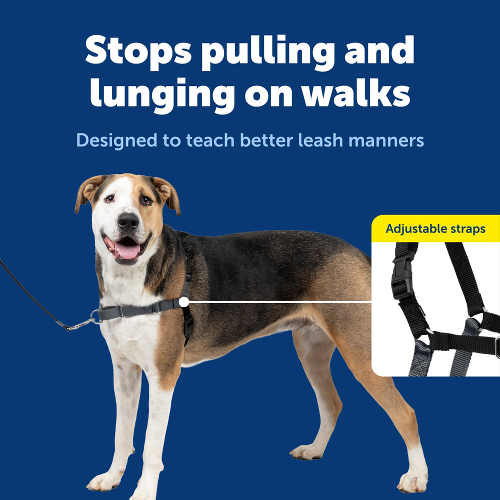 PetSafe Easy Walk boucle-martingale-devant, guidage doux lors des tirages.