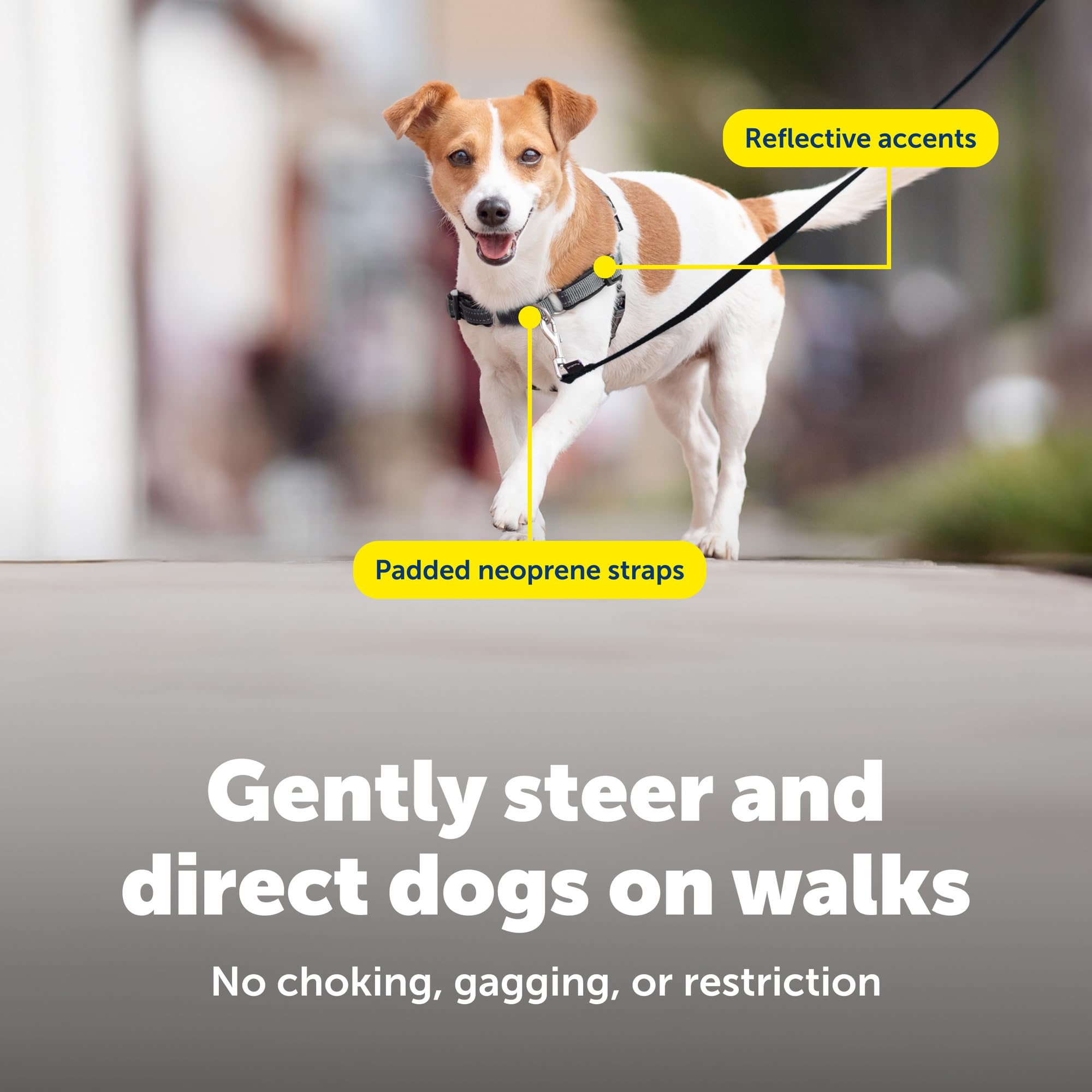 Harnais PetSafe Easy Walk – ceintures ventrales colorées facilitent l’enfilage et le positionnement.