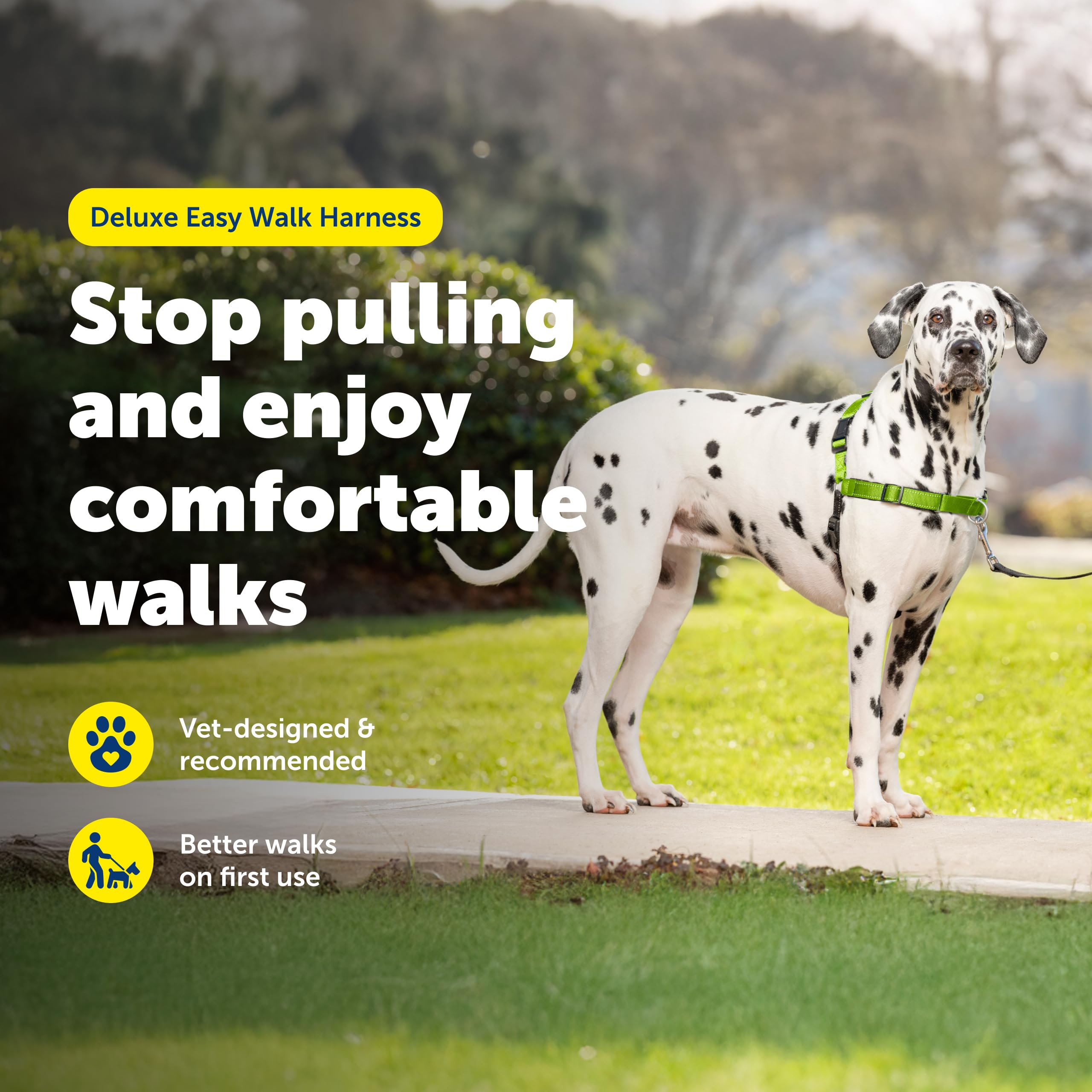 Conception veterinaire du harnais PetSafe Easy Walk Deluxe.
