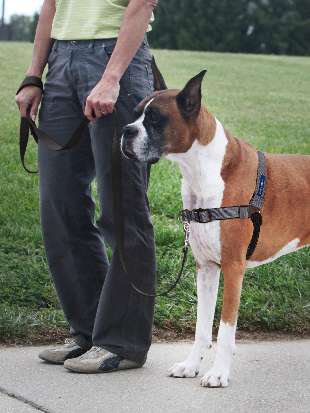 Confort en néoprène doux sur le harnais PetSafe Easy Walk Deluxe pendant les longues balades.