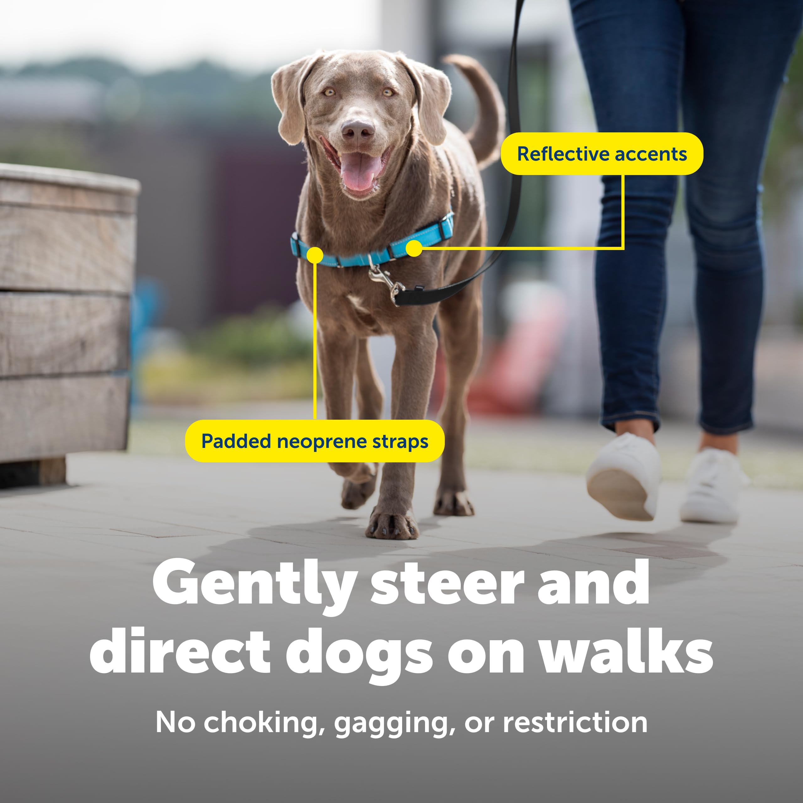 Harnais Petsafe Easy Walk Deluxe, montage simple et rapide avant la promenade.