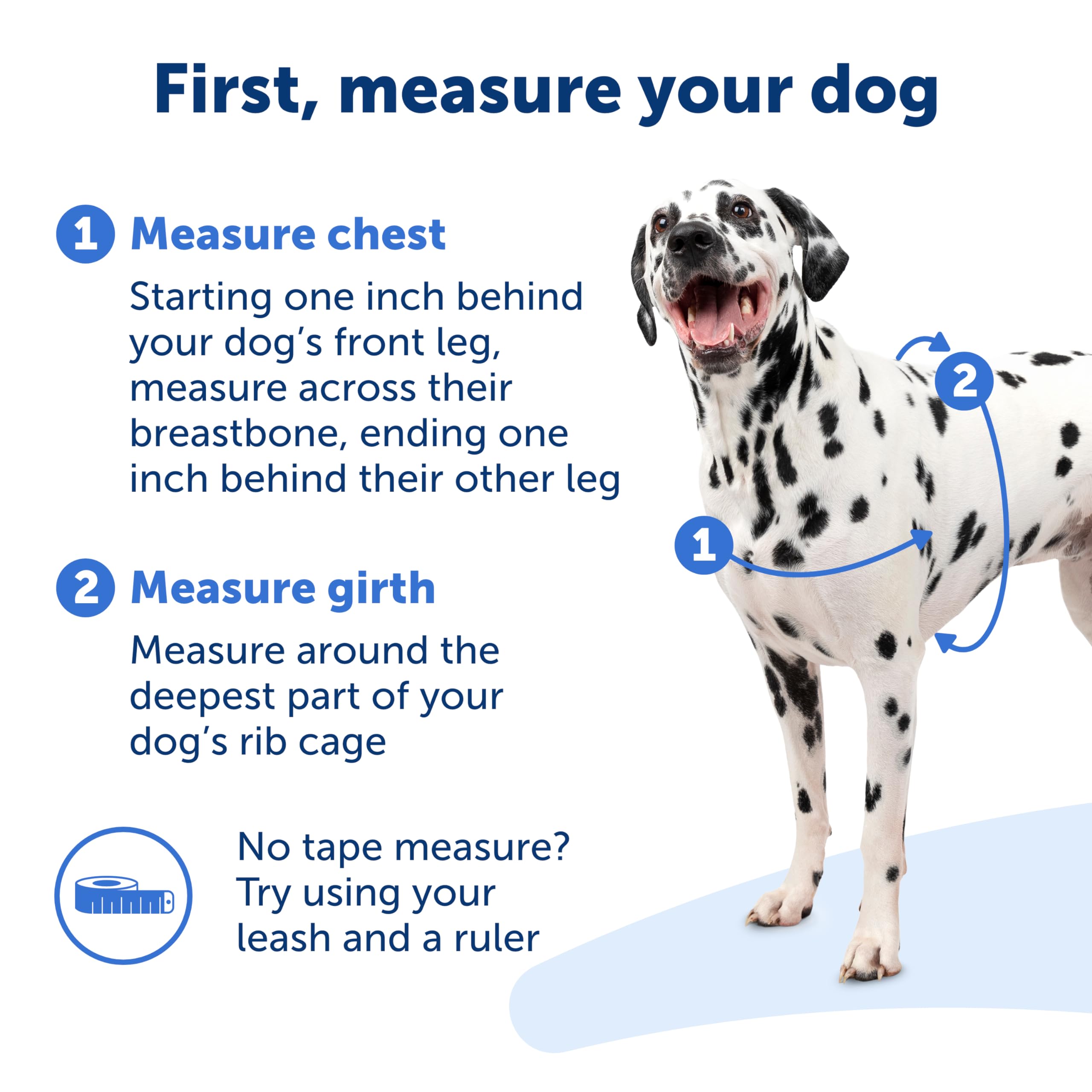 Design respirant et léger du harnais PetSafe Easy Walk