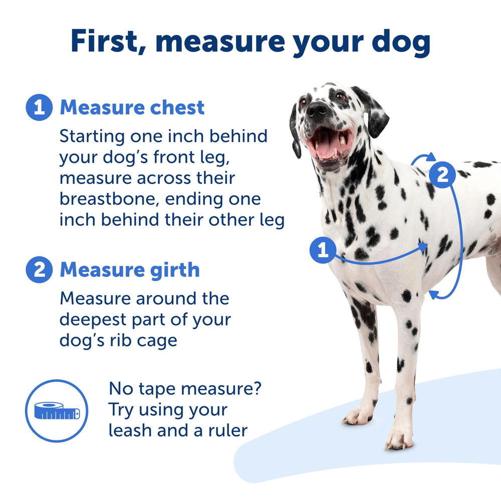 Design respirant et léger du harnais PetSafe Easy Walk