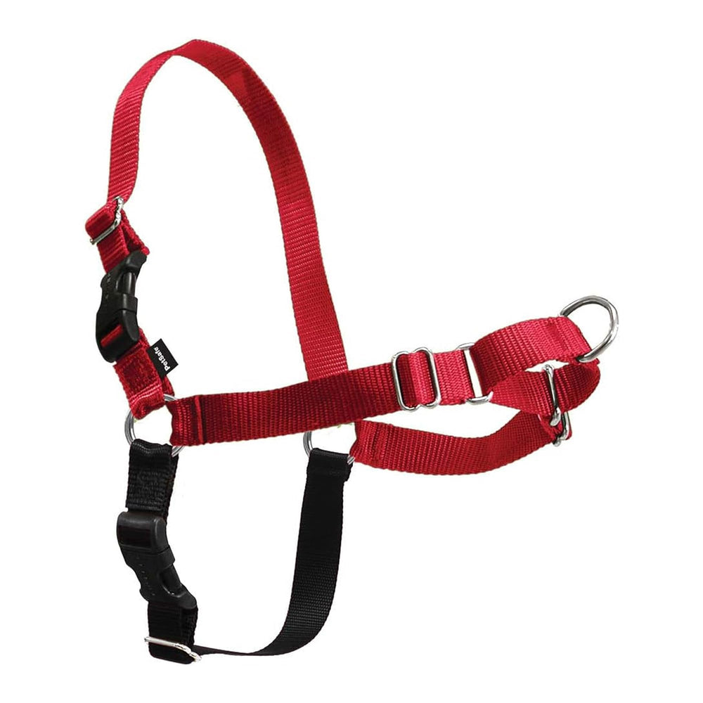 Harnais PetSafe Easy Walk anti-tirage avant pour un contrôle en douceur.