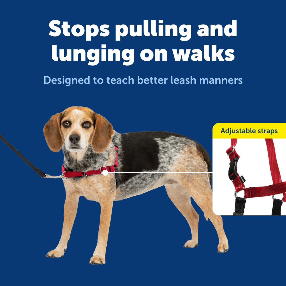 PetSafe Easy Walk attache avant, guidage efficace pendant la marche.
