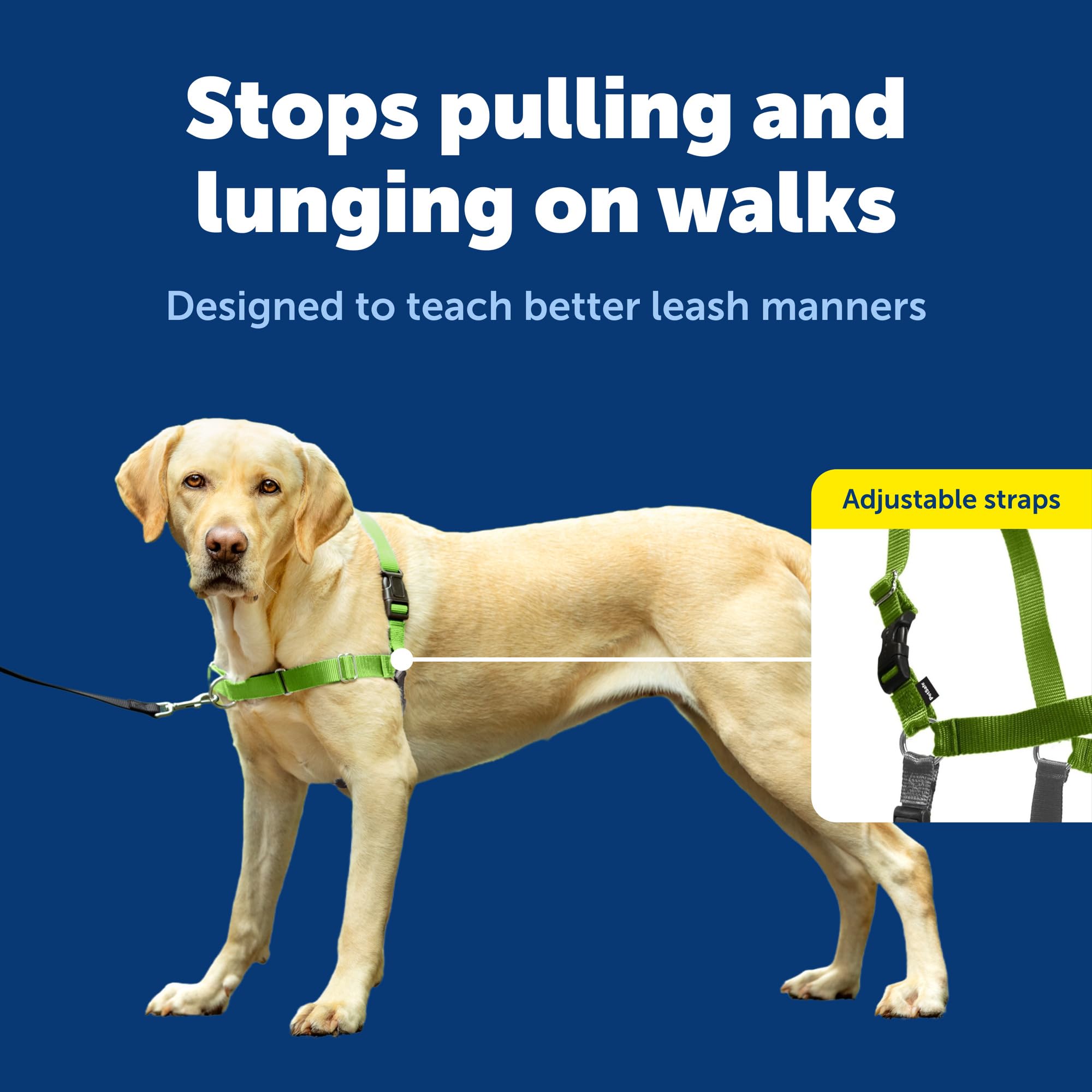 PetSafe Easy Walk inclut bande-abdomen-code-couleur pour repérage rapide.