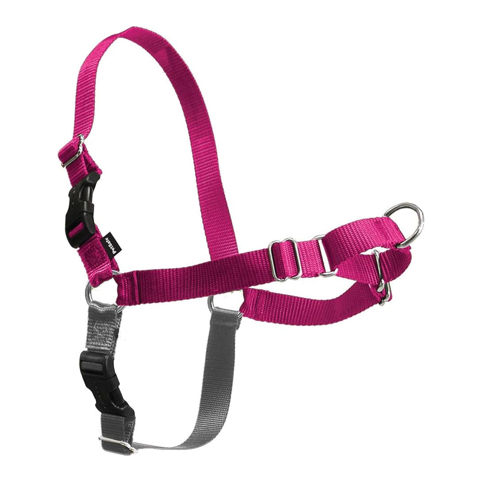 Harnais PetSafe Easy Walk avec attache avant pour des promenades sans tirage.