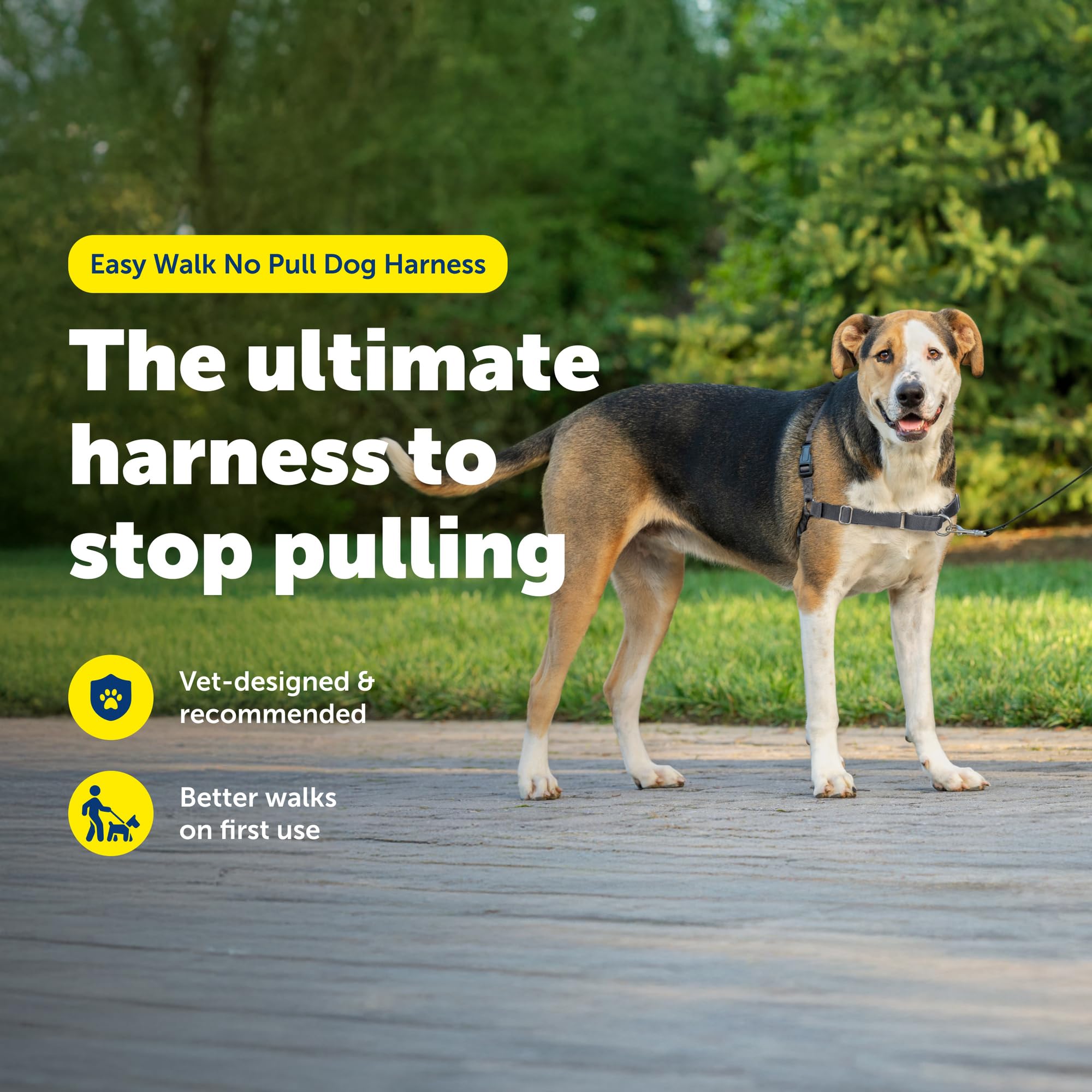 PetSafe Easy Walk harnais chien dos, design léger pour la liberté de mouvement.