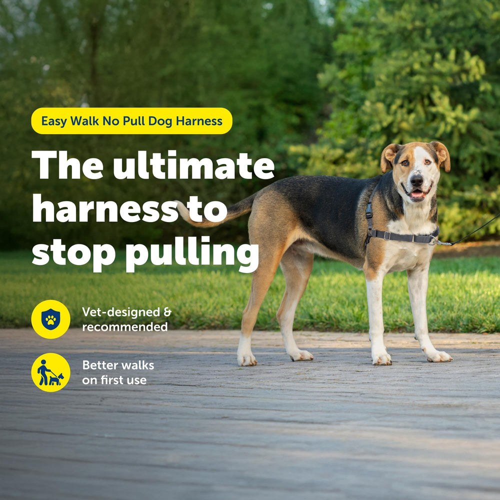 PetSafe Easy Walk harnais chien dos, design léger pour la liberté de mouvement.