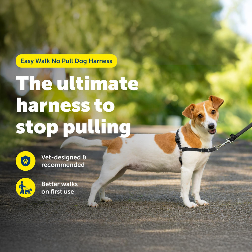 PetSafe Easy Walk avec sangles confort ajustables pour un maintien personnalisé.