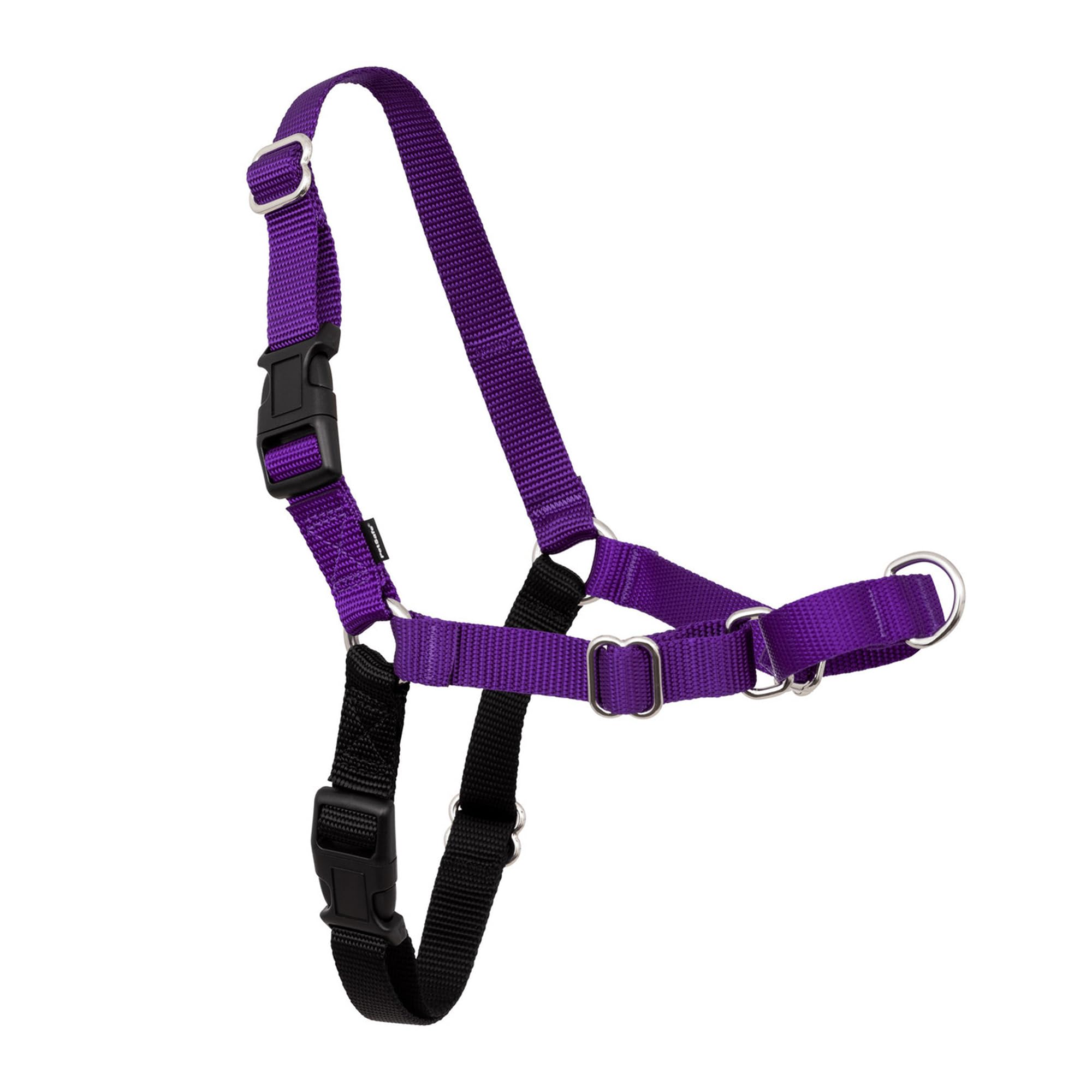 Harnais PetSafe Easy Walk de face pour des promenades sans tirage