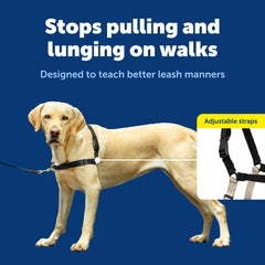 Harnais PetSafe Easy Walk, design respirant pour rester au frais lors des balades.