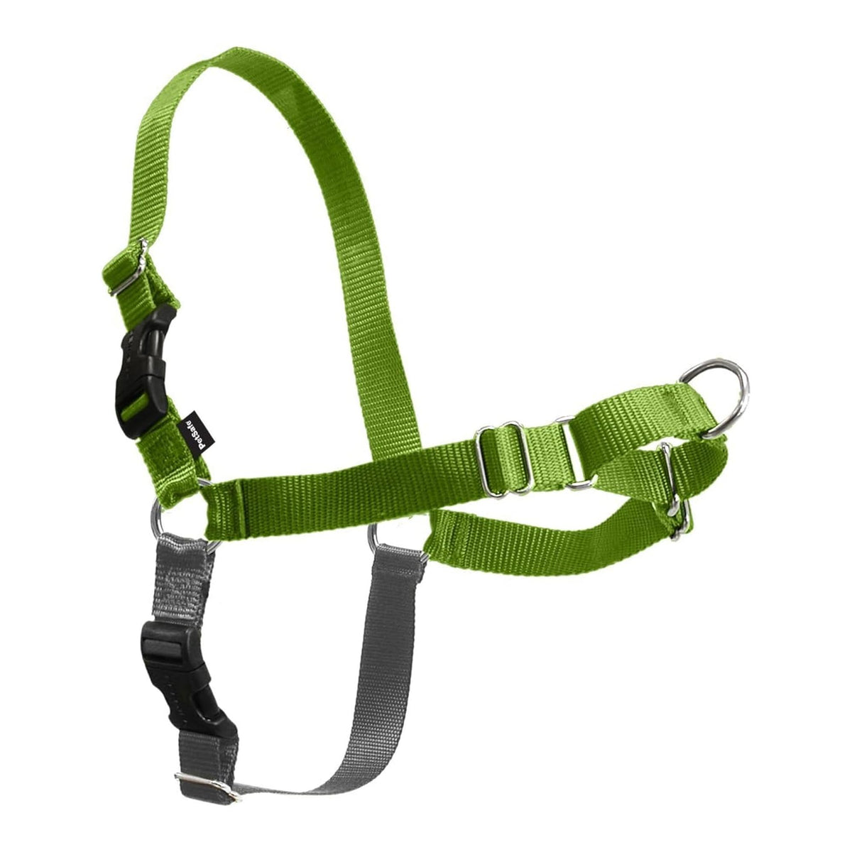 Harnais PetSafe Easy Walk avec attache-laisse devant pour guider sans tirer.