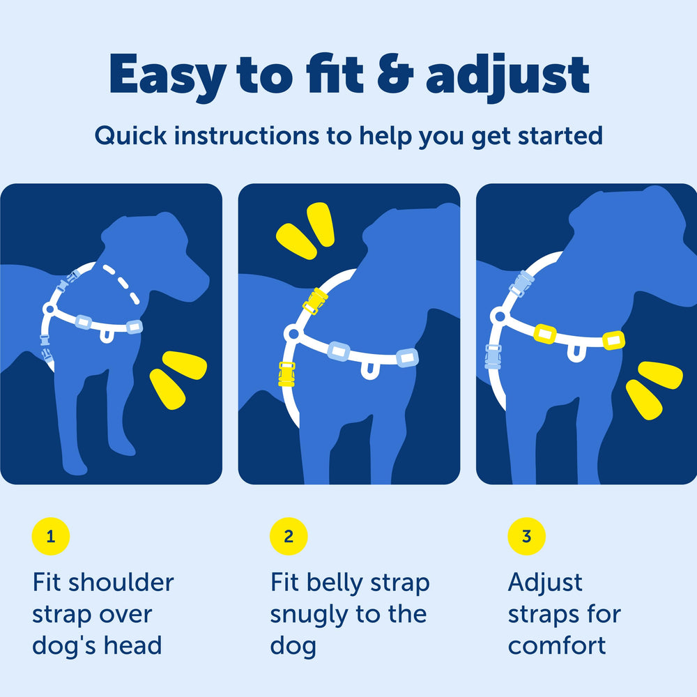 PetSafe Easy Walk en action, balades contrôlées et agréables.