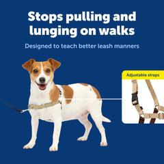 Sangle frontale du harnais PetSafe Easy Walk favorise redirection sans pression