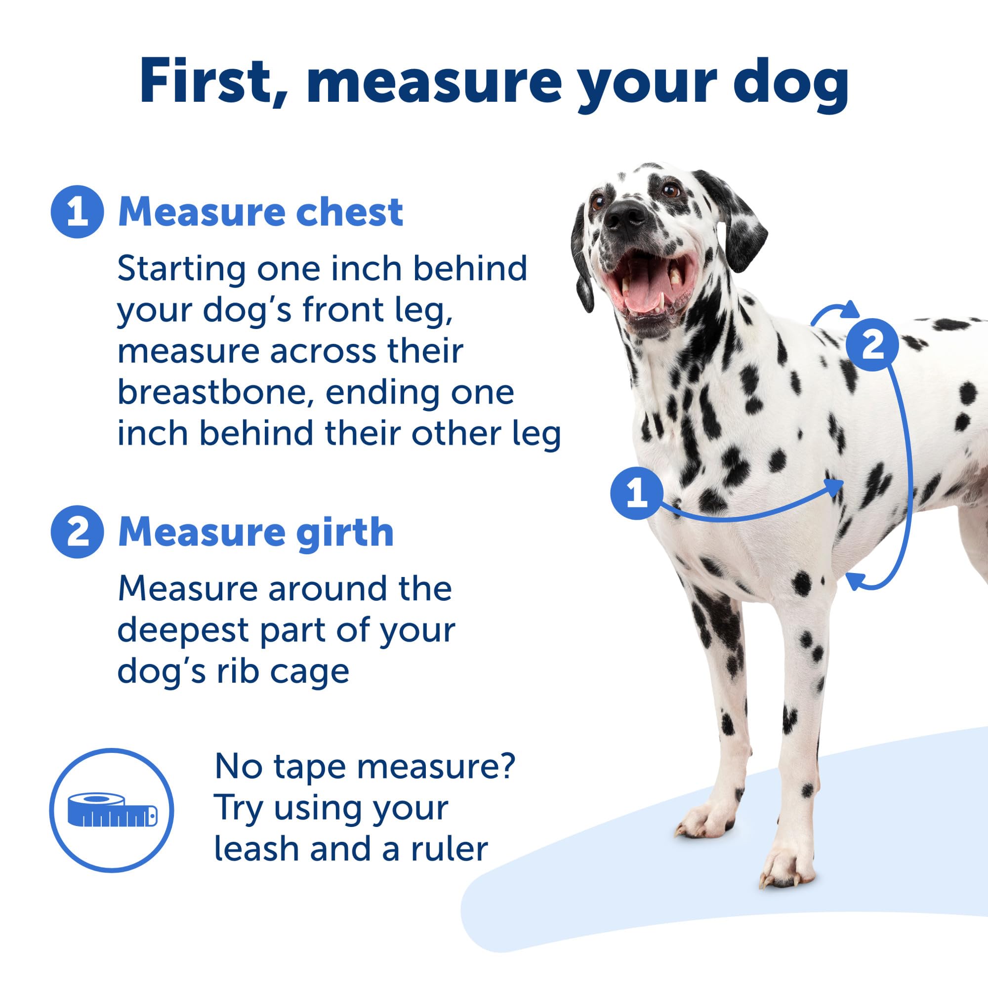 PetSafe Easy Walk harnais-installation-rapide : mise en place facile