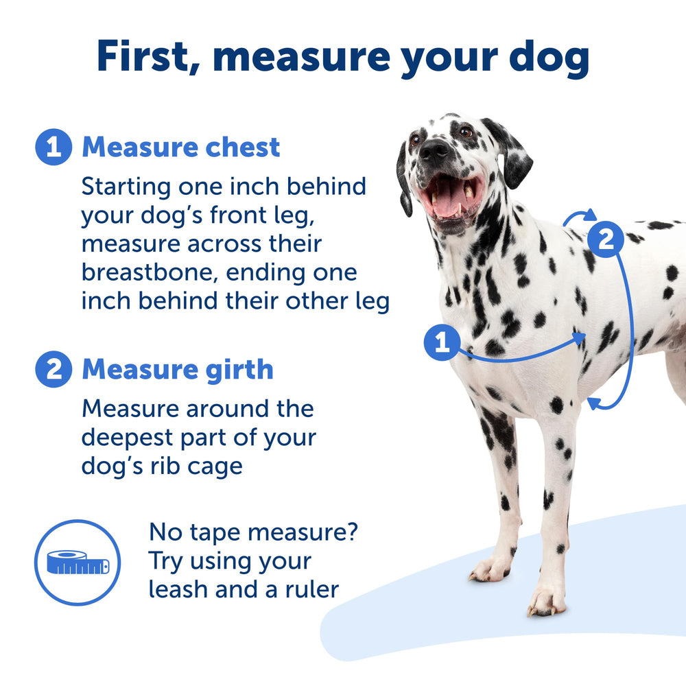 PetSafe Easy Walk harnais-installation-rapide : mise en place facile