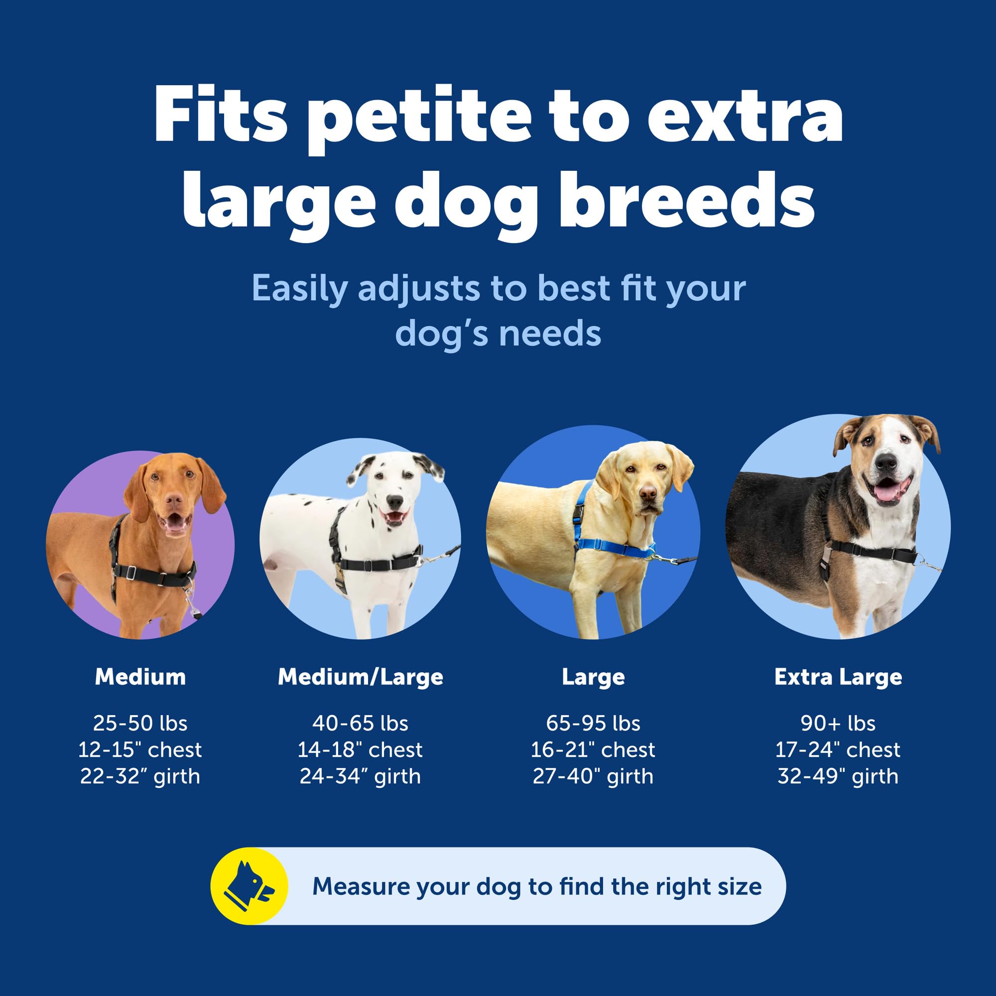Harnais PetSafe Easy Walk, sangles légères pour un confort tout au long de la promenade.