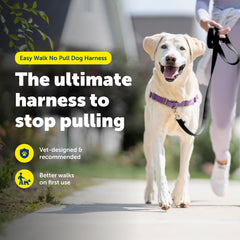 PetSafe Easy Walk, vue frontale avec boucle martingale, guidage en douceur