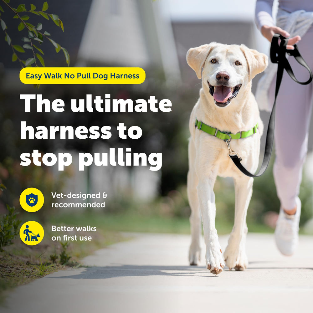 PetSafe Easy Walk montre la martingale frontale pour une redirection douce.